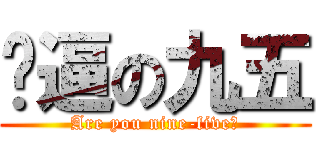 傻逼の九五 (Are you nine-five？)