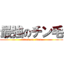 最強のチン毛 (attack on titan)