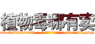 植物毒哪有卖 (植物毒哪有卖【电-186x2687x6963-Q278180069元-吉-药-业】我们做的是长期生意,靠的是老客户长期支持 http://sngk.net/G0ZiS8
)