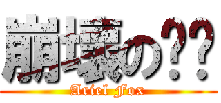 崩壞のㄏㄏ (Ariel Fox)