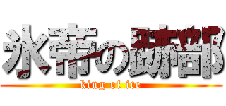 氷帝の跡部 (king of ice)