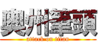 奥州筆頭 (attack on titan)