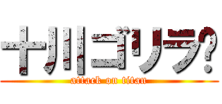 十川ゴリラ🦍 (attack on titan)