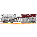 進撃の藍鷹 (attack on titan)