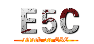 Ｅ５Ｃ (attack on E5C)