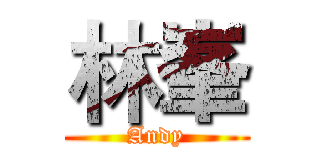 林峯 (Andy)