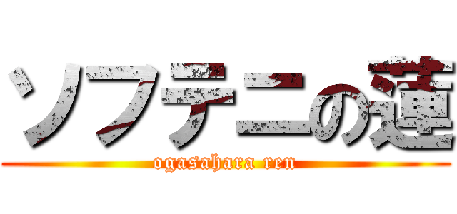 ソフテニの蓮 (ogasahara ren)