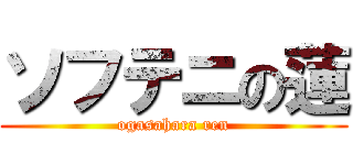 ソフテニの蓮 (ogasahara ren)