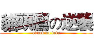 貓頭鷹の逆襲 (attack on inin)