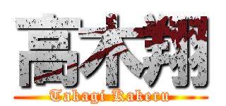 高木翔 (Takagi Kakeru)
