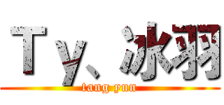 Ｔｙ、冰羽 (tang yun)