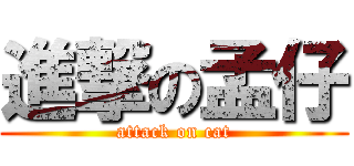 進撃の孟仔 (attack on cat)