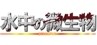 水中の微生物 (plankton)