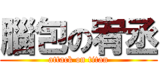 腦包の宥丞 (attack on titan)