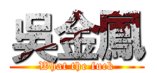 吳金鳳 (What the fuck)