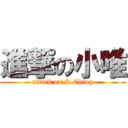 進撃の小唯 (attack on S.Ching)