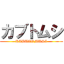 カブトムシ (KABUTOMUSI)