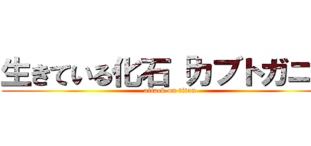 生きている化石「カブトガニ」 (attack on titan)