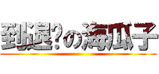 到退嚕の海瓜子 ()