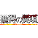 獲得の獎項 (Awards)