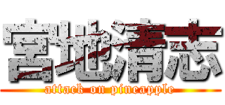 宮地清志 (attack on pineapple)