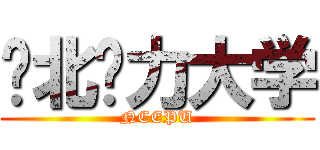 华北电力大学 (NCEPU)