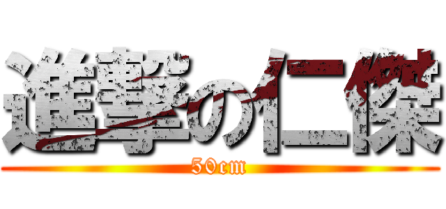 進撃の仁傑 (50cm)