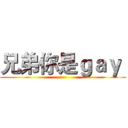 兄弟你是ｇａｙ  ()