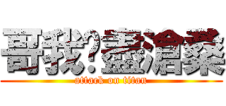 哥我歷盡滄桑 (attack on titan)