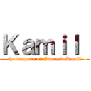 Ｋａｍｉｌ  (the dispute of Eva and Kamil)