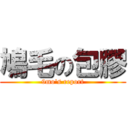 鳩毛の包膠 (9mo\'s report)