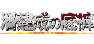 潘建成の底裤 (is red colour....)