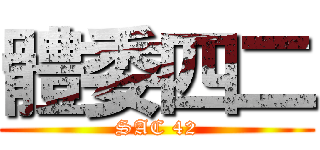 體委四二 (SAC 42)