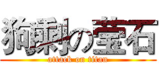 狗剩の莹石 (attack on titan)