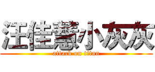 汪佳慧小灰灰 (attack on titan)