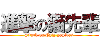 進撃の猫先輩 (attack on Cats seniors)