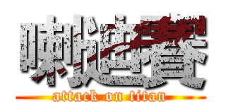 喇迪賽 (attack on titan)