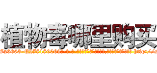 植物毒哪里购买 (植物毒哪里购买【电-186x2687x6963-Q278180069元-吉-药-业】我们做的是长期生意,靠的是老客户长期支持 http://sngk.net/MvitsC
)