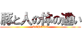 豚と人の体の違い (REPOTO)