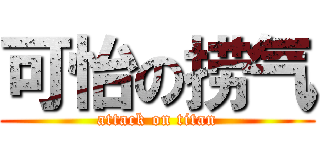 可怡の捞气 (attack on titan)