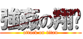 強姦の翔婷 (attack on titan)