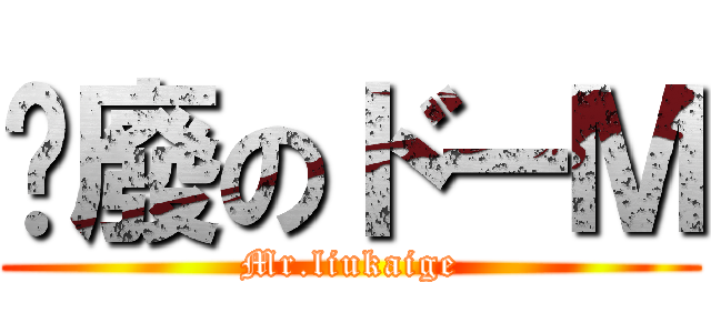 頹廢のドーＭ (Mr.liukaige)