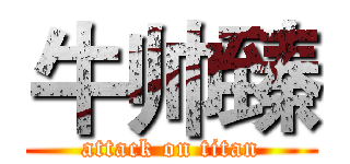 牛帅臻 (attack on titan)