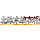 北欧木纹衣柜 (精致简约衣柜 行李箱衣柜)