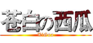 苍白の西瓜 (XiGua)