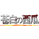 苍白の西瓜 (XiGua)