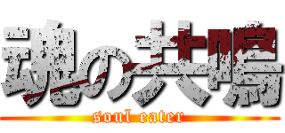 魂の共鳴 (soul eater)