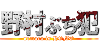 野村ぶち犯 (nomura is HOMO)