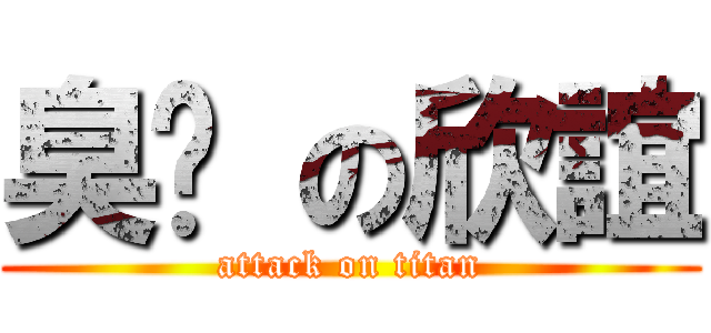 臭腳 の欣誼 (attack on titan)