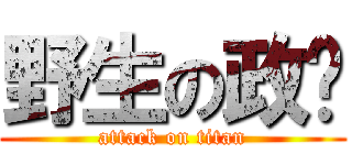 野生の政炘 (attack on titan)